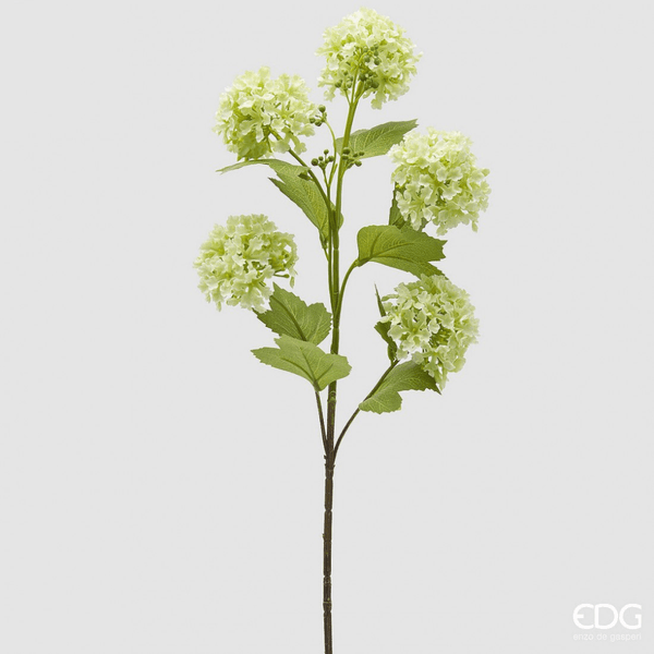 Hovedbilde Viburnum opulus, grønn, 80 cm
