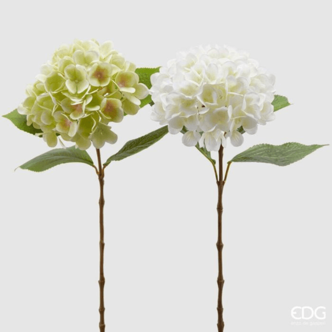 Hovedbilde Hortensia, Hvit / grønn, 60 cm