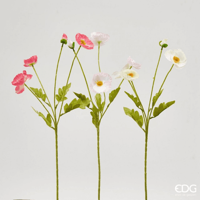 Hovedbilde Poppy, Hvit / rosa / lys rosa 60 cm