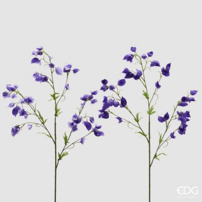 Hovedbilde Aconitum, 80 cm
