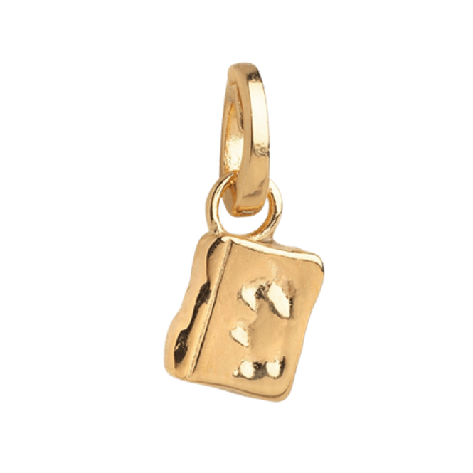 Hovedbilde Enamel Charm - Story keeper 