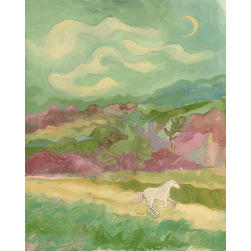 Maria Murphy - Niamhs wild horse