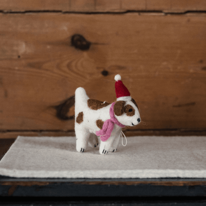 Hovedbilde Hunden Fiffi med nisselue