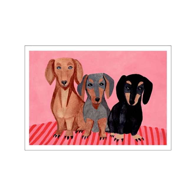 Hovedbilde Poster - Dachshunds